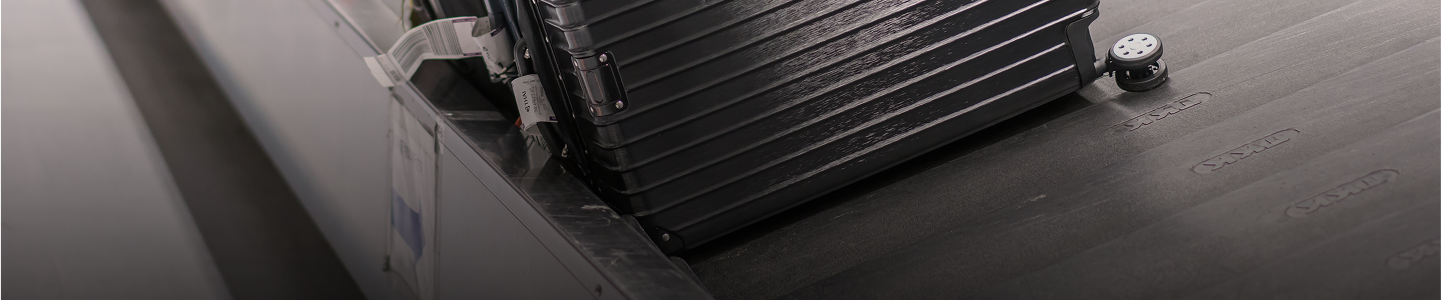Delayed Baggage