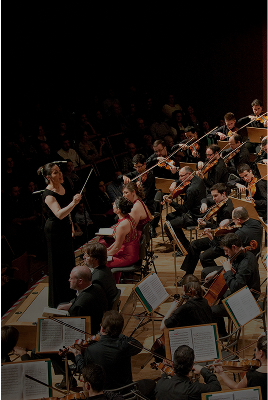 Orchestra