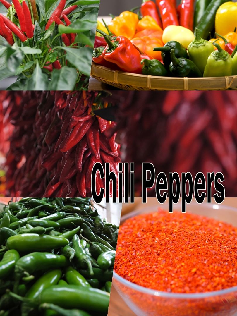Chili Peppers S01 E01