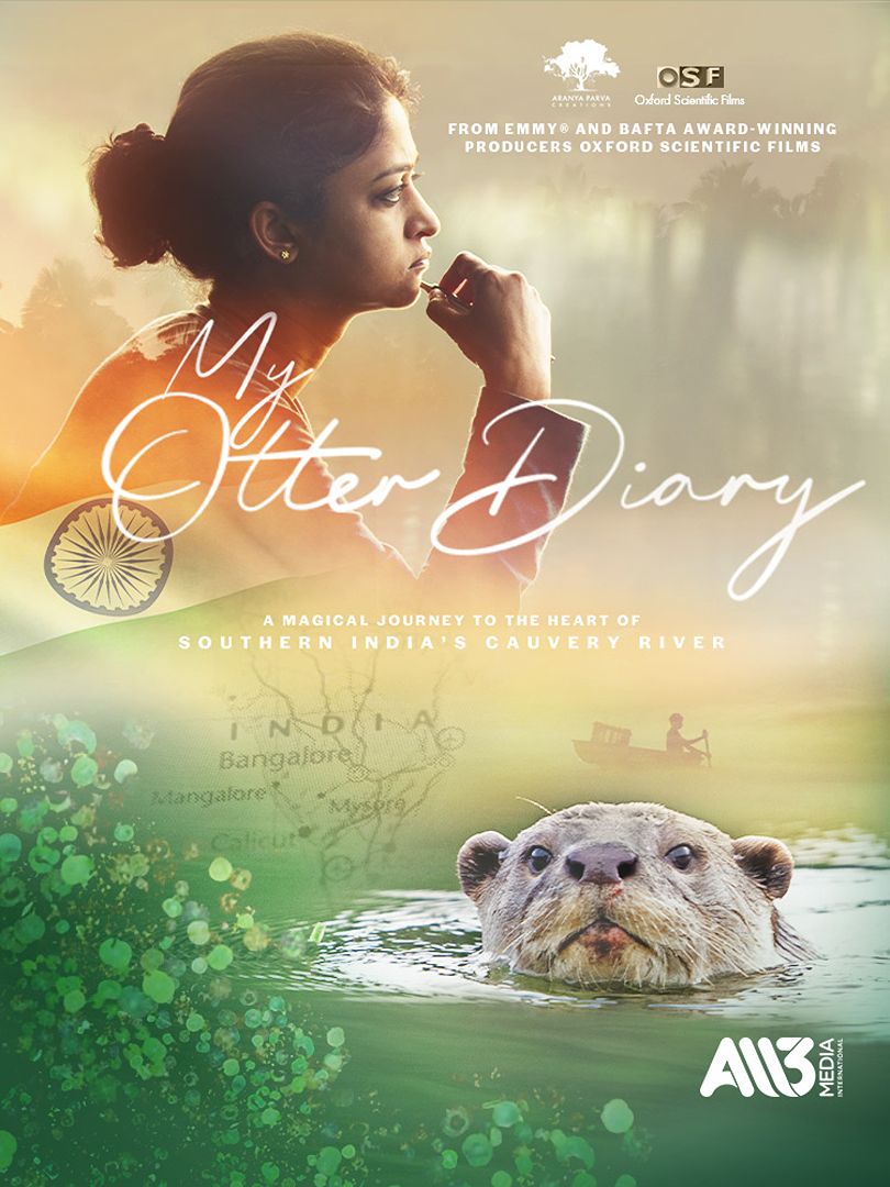 My Otter Diary 1