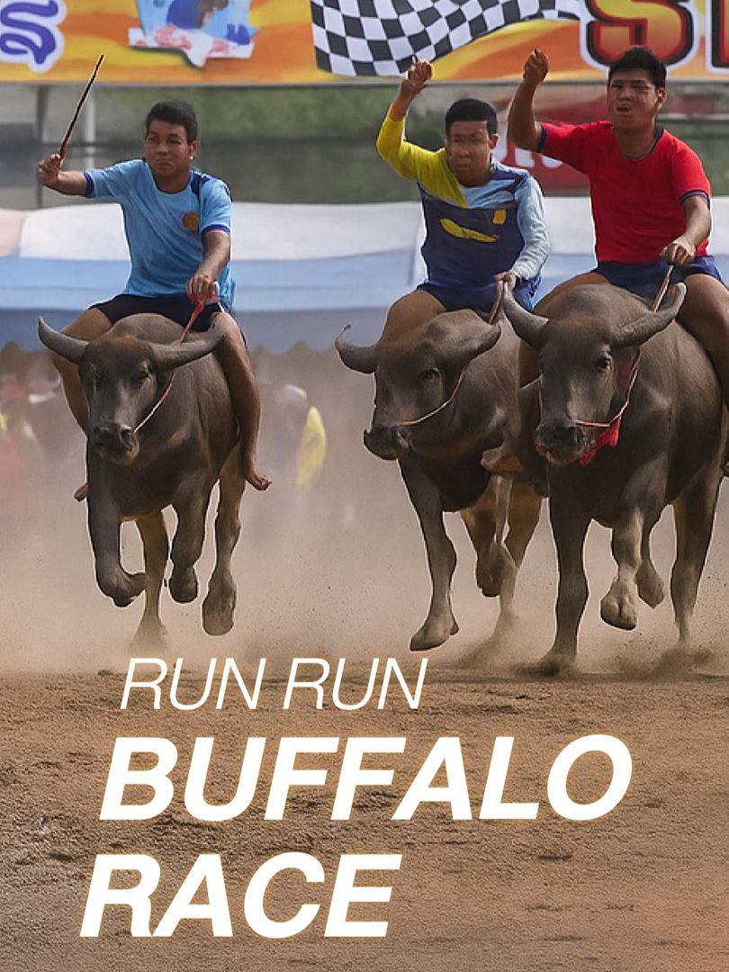 NS Run Run Buffalo Race