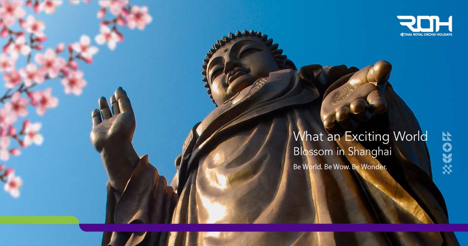Blossom In Shanghai