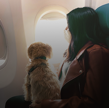 PETS IN CABIN