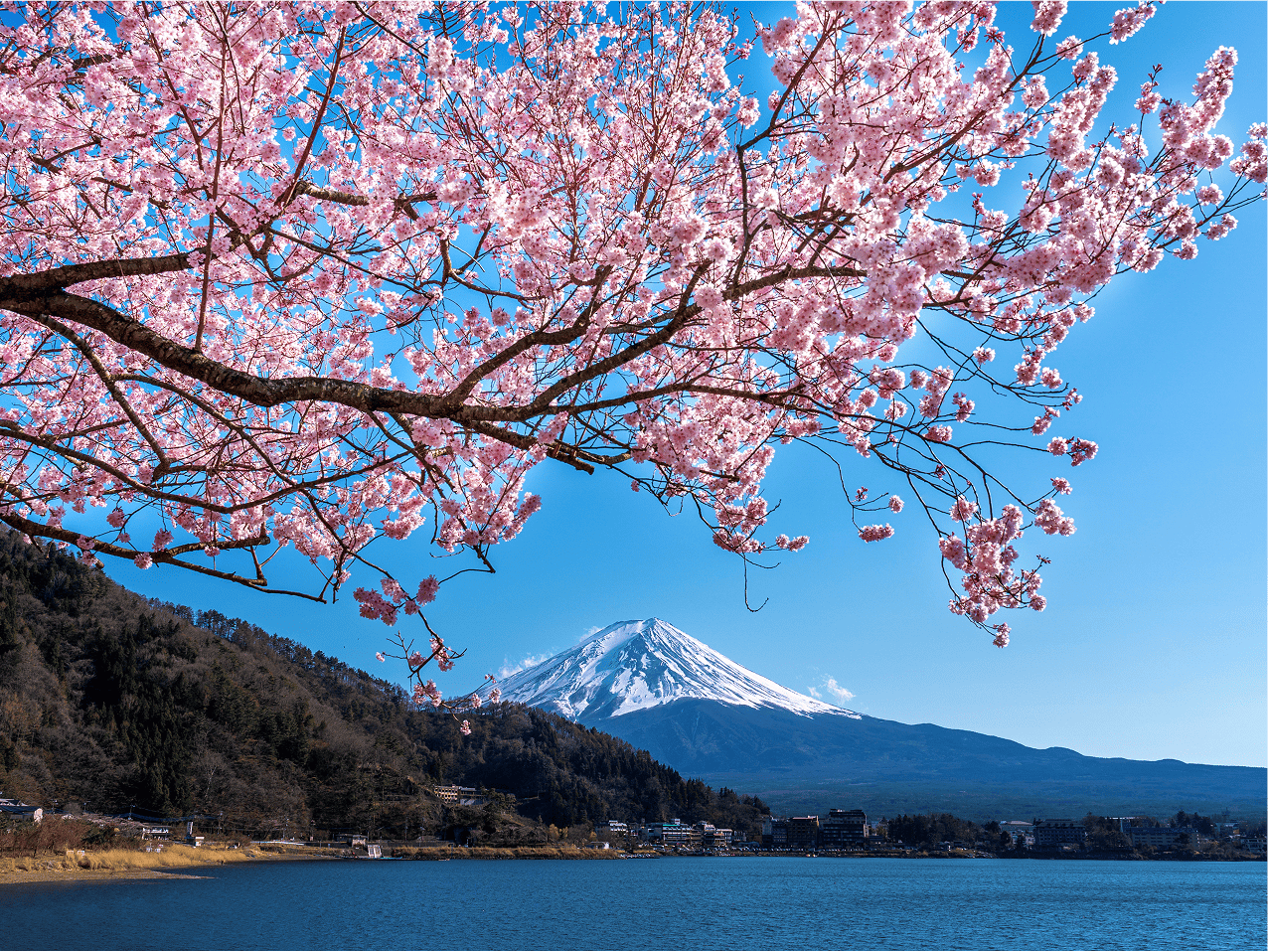 JAPAN