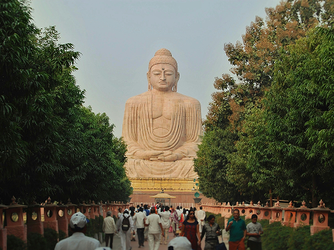 Gaya