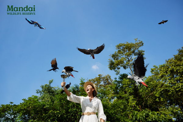 Bird Paradise