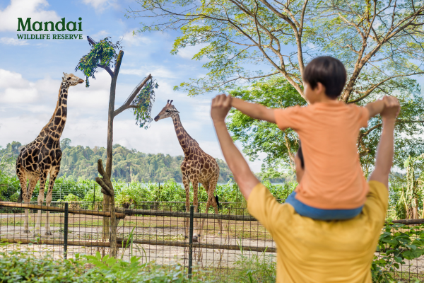 Singapore Zoo